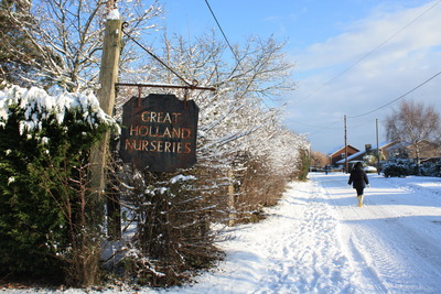 Old Nursery