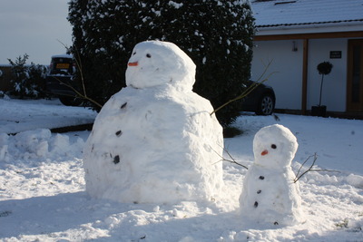 Snow Family