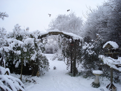 Snow at the Paddocks